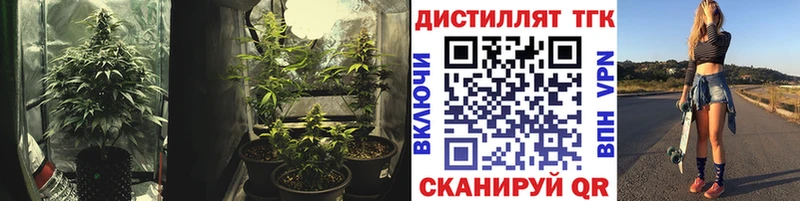 Купить  Покров  Дистиллят ТГК жижа 